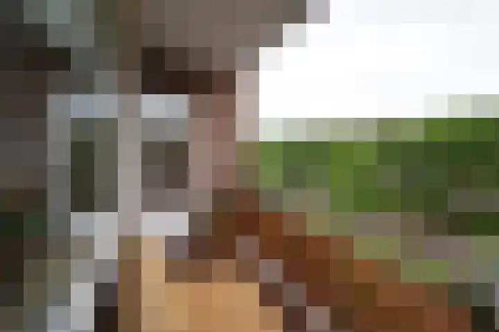 Nijverheidssingel 281 Breda thumbnail 6