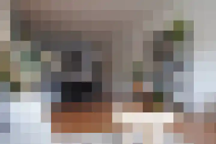Nijverheidssingel 281 Breda thumbnail 8