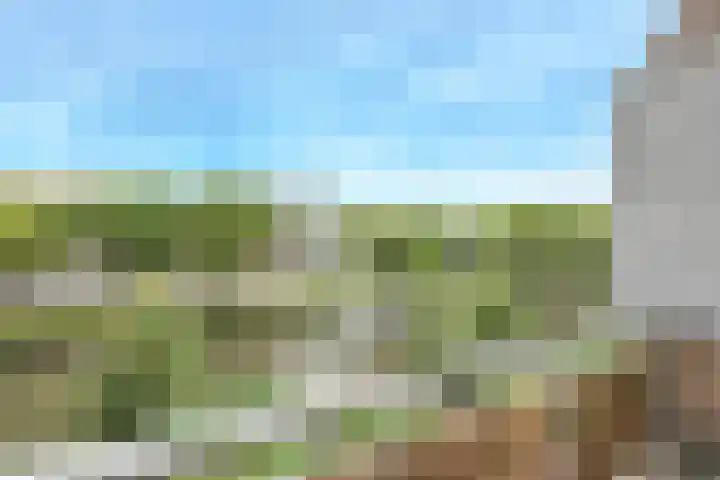 Nijverheidssingel 291 Breda thumbnail 16