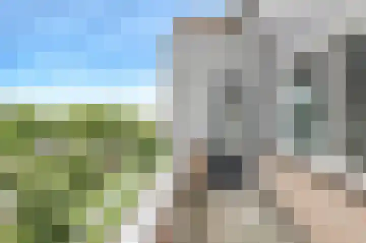 Nijverheidssingel 291 Breda thumbnail 17