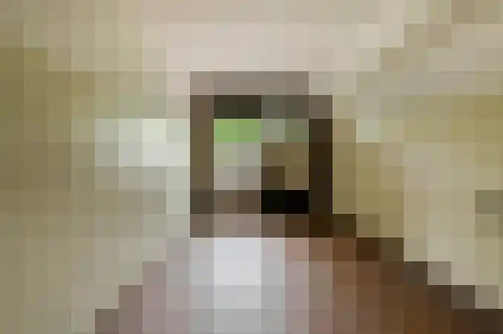 Nijverheidssingel 291 Breda thumbnail 22