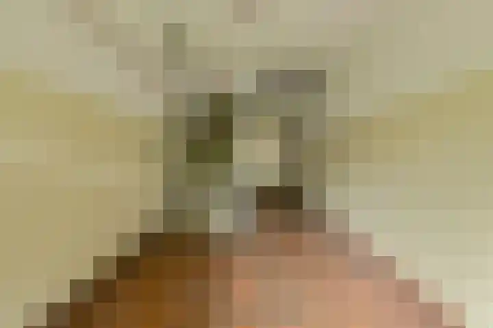 Nijverheidssingel 291 Breda thumbnail 23