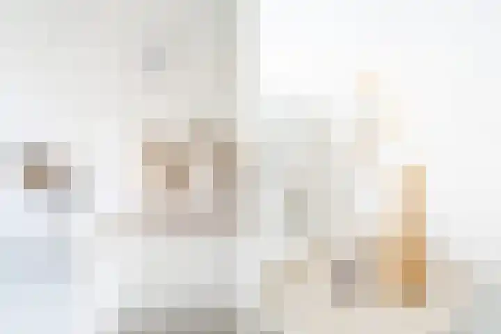 Nijverheidssingel 317 A2 Breda thumbnail 17