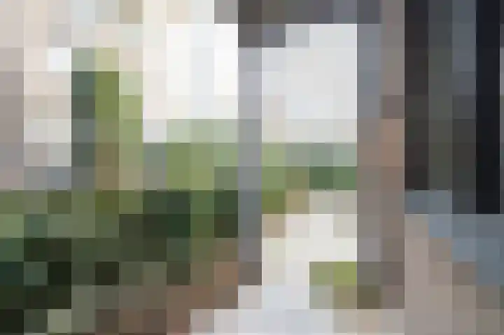 Nijverheidssingel 317 A2 Breda thumbnail 23