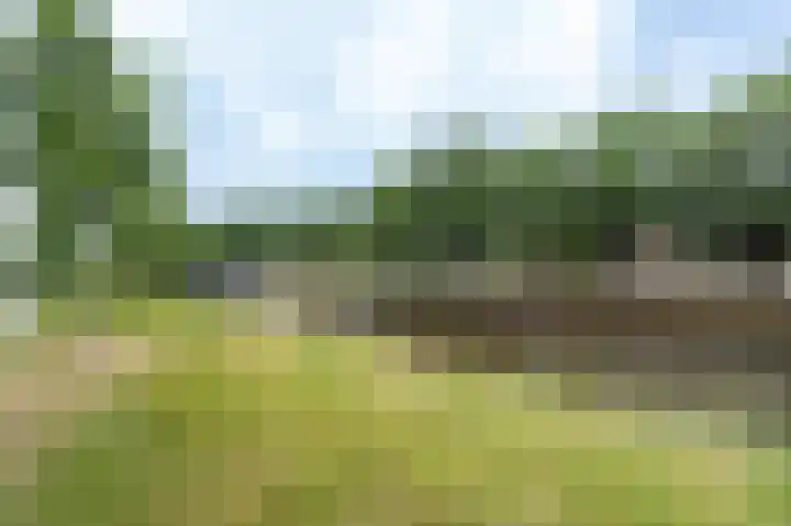 Nijverheidssingel 317 A2 Breda thumbnail 31