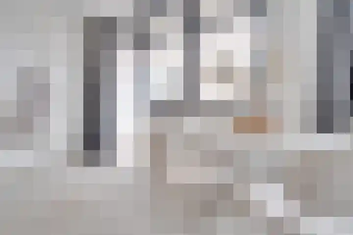 Nijverheidssingel 317 A2 Breda thumbnail 7