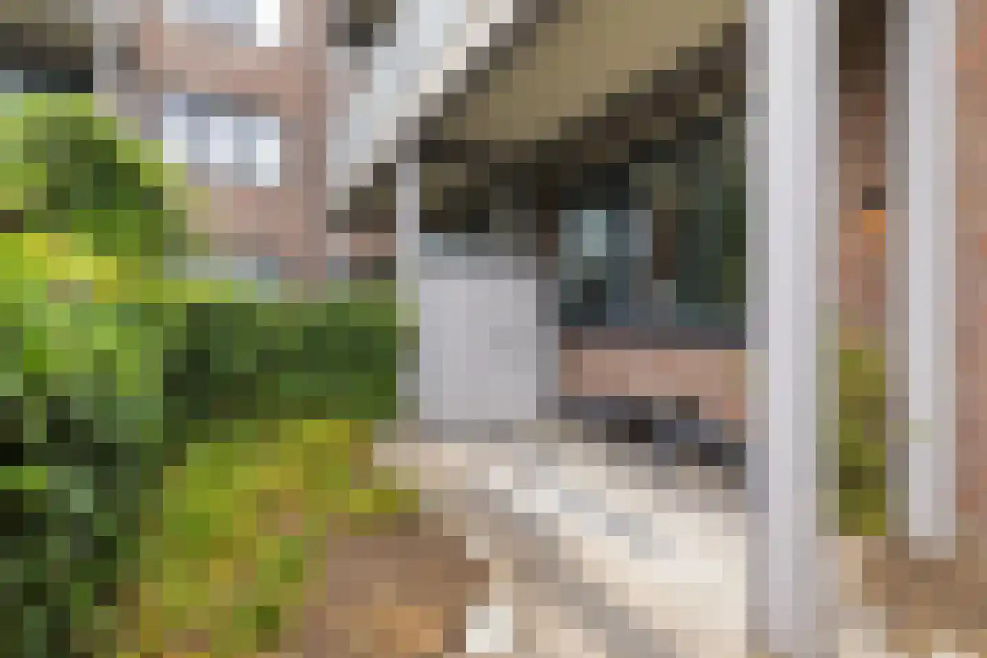 Nijverheidssingel 317 A3 Breda thumbnail 33