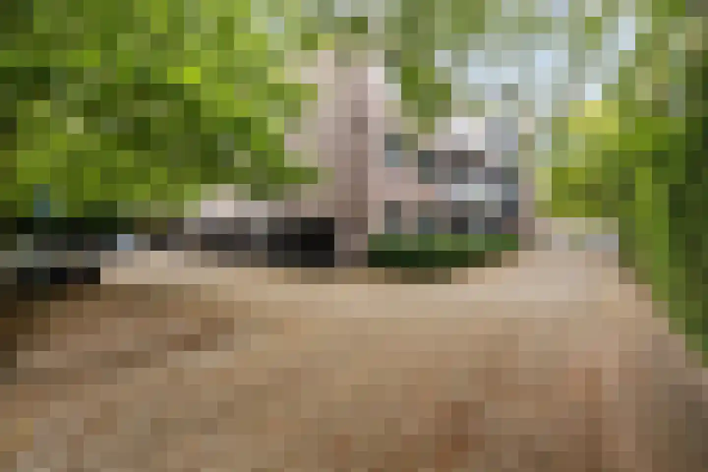 Nijverheidssingel 317 A3 Breda thumbnail 35