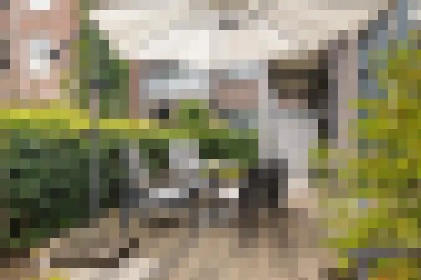 Nijverheidssingel 317 A3 Breda thumbnail 38