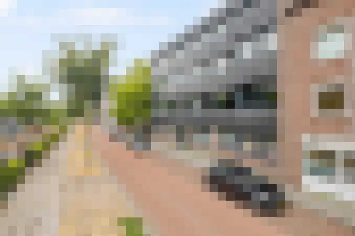 Nijverheidssingel 317 A3 Breda thumbnail 8