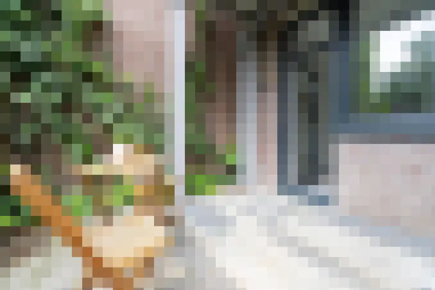 Nijverheidssingel 317 A5 Breda thumbnail 24