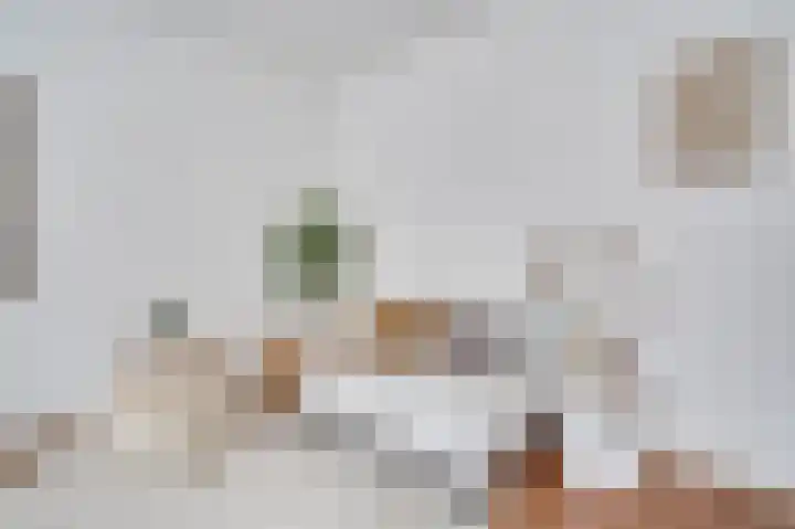 Nijverheidssingel 317 B1 Breda thumbnail 16