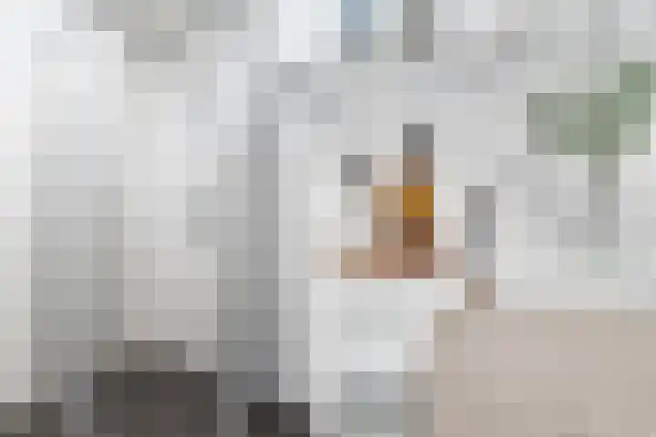 Nijverheidssingel 317 B1 Breda thumbnail 30