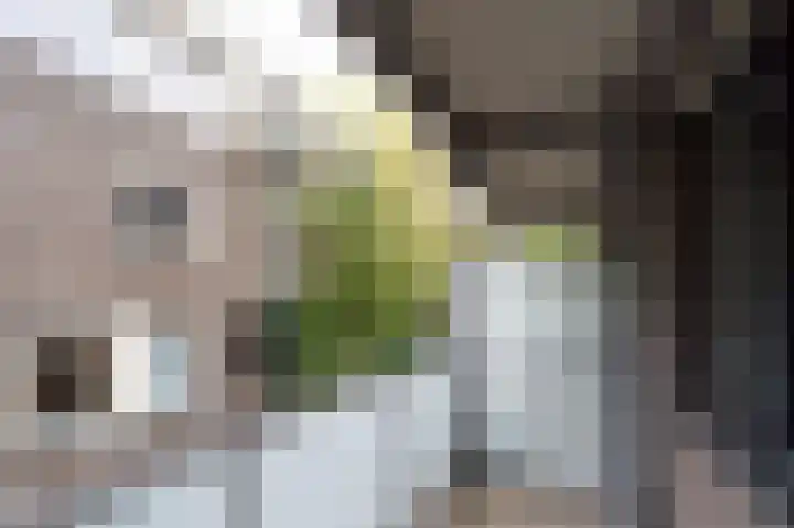 Nijverheidssingel 317 B1 Breda thumbnail 31