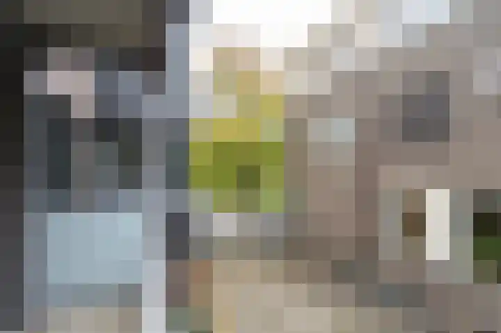 Nijverheidssingel 317 B1 Breda thumbnail 32
