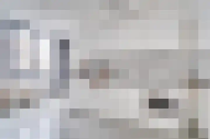 Nijverheidssingel 317 B2 Breda thumbnail 16