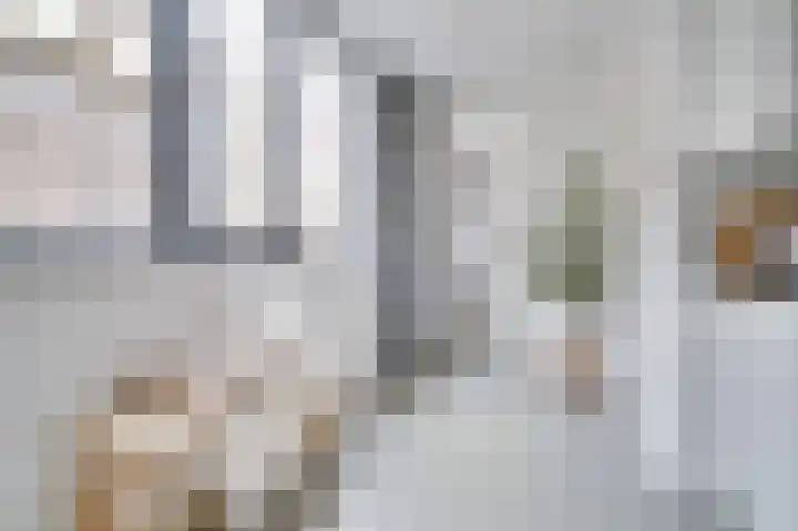 Nijverheidssingel 317 B2 Breda thumbnail 18