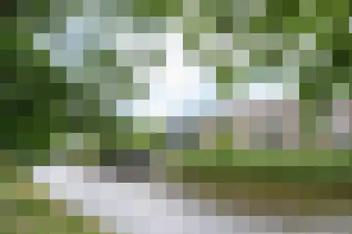 Nijverheidssingel 317 B2 Breda thumbnail 30