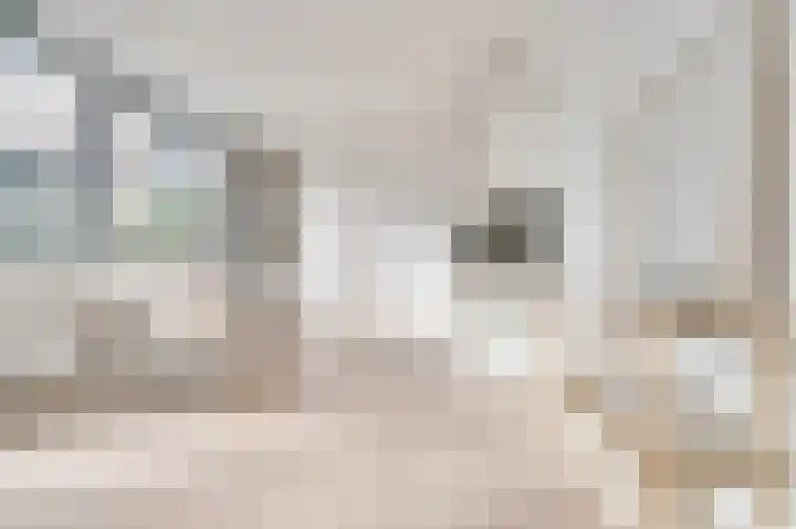 Nijverheidssingel 317 B4 Breda thumbnail 12