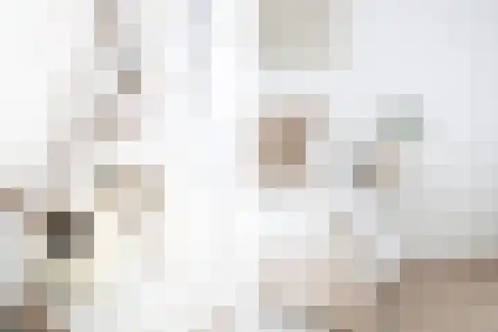 Nijverheidssingel 317 B4 Breda thumbnail 21