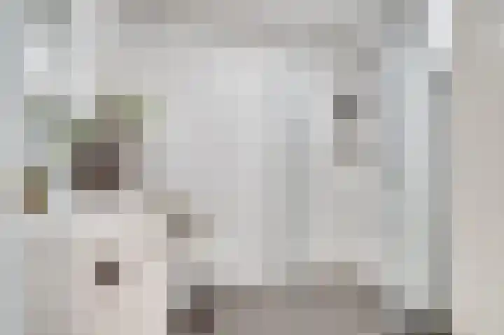 Nijverheidssingel 317 B4 Breda thumbnail 23