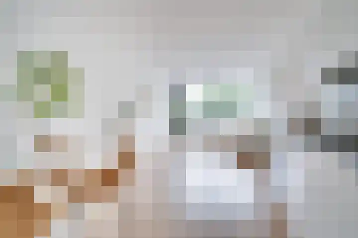 Nijverheidssingel 317 B5 Breda thumbnail 11