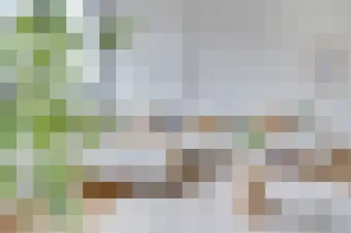 Nijverheidssingel 317 B5 Breda thumbnail 14