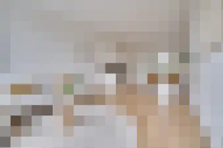 Nijverheidssingel 317 B5 Breda thumbnail 15