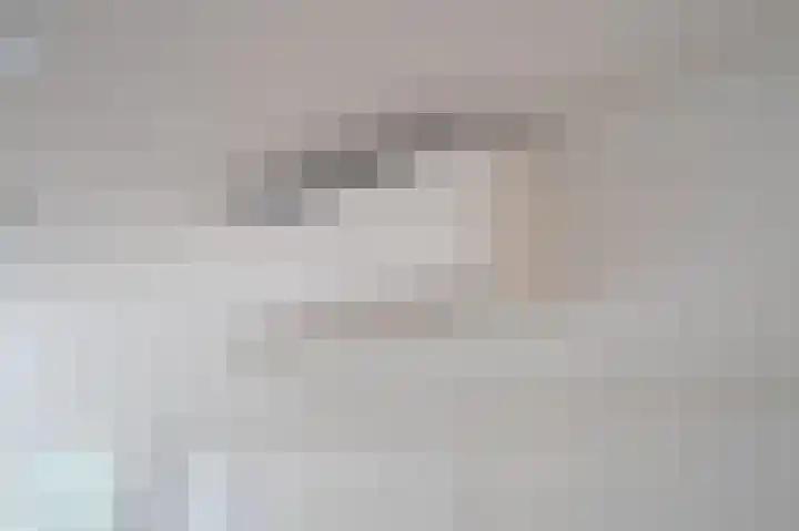 Nijverheidssingel 317 B5 Breda thumbnail 19