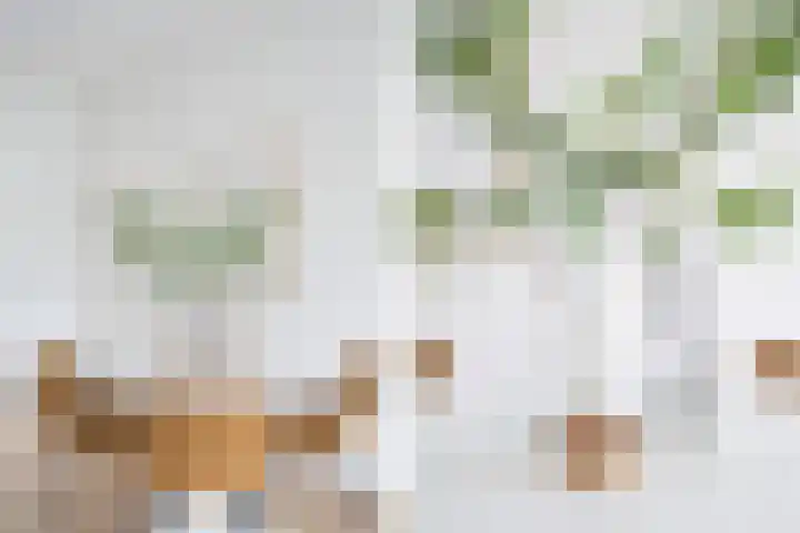 Nijverheidssingel 317 B5 Breda thumbnail 20