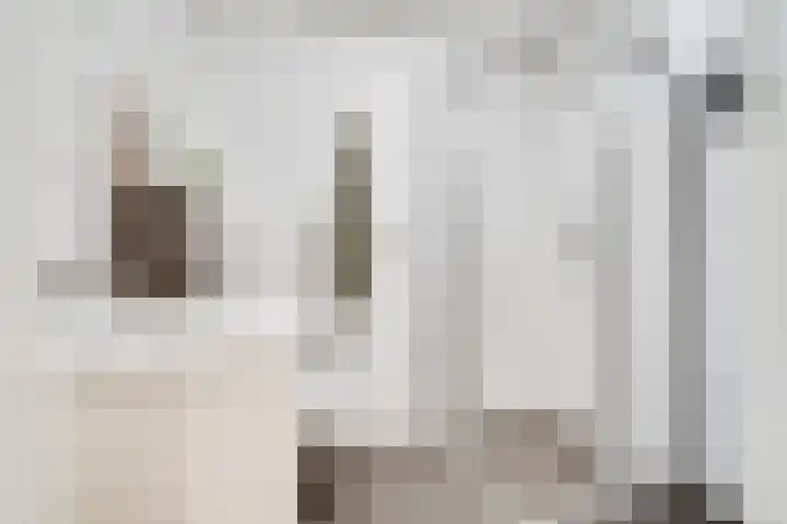 Nijverheidssingel 317 B5 Breda thumbnail 26