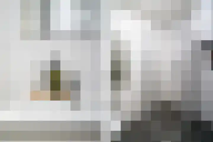 Nijverheidssingel 317 B5 Breda thumbnail 28