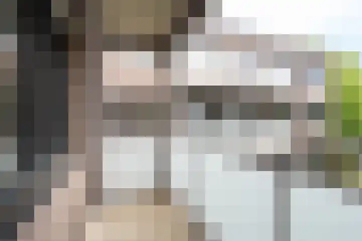 Nijverheidssingel 317 B5 Breda thumbnail 30