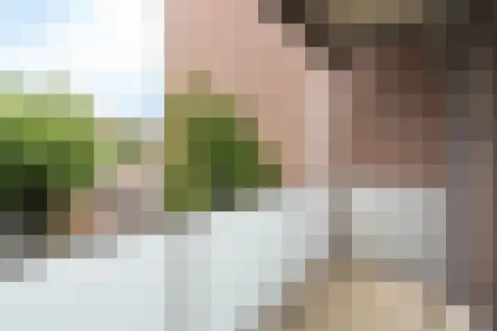 Nijverheidssingel 317 B5 Breda thumbnail 31