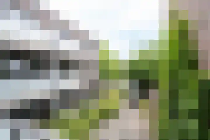 Nijverheidssingel 317 B5 Breda thumbnail 32