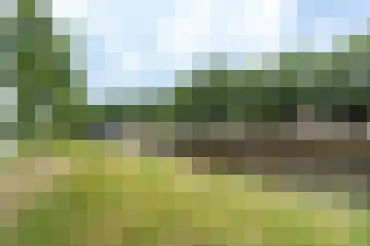 Nijverheidssingel 317 B5 Breda thumbnail 36