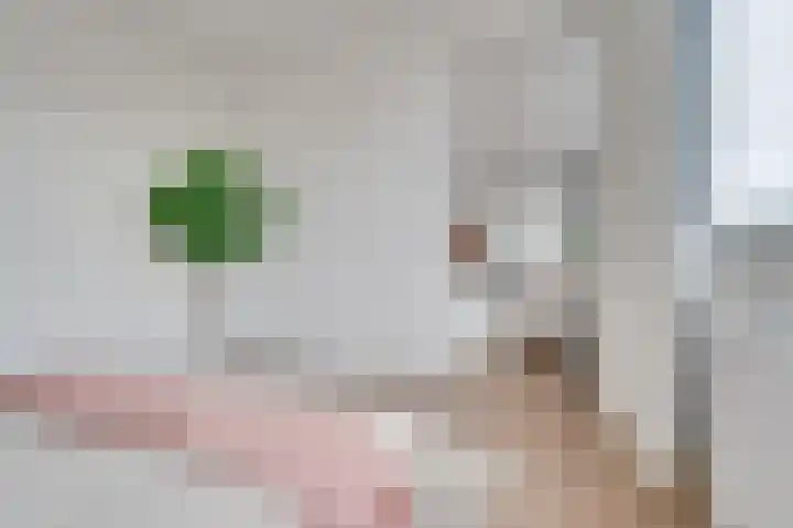 Nijverheidssingel 317 B6 Breda thumbnail 16