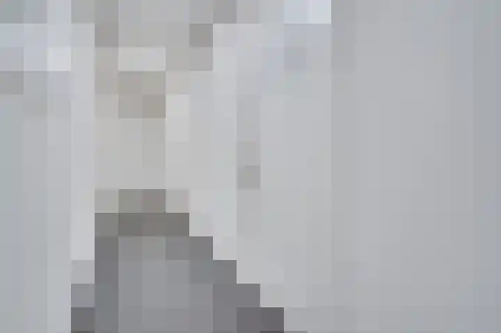 Nijverheidssingel 317 B6 Breda thumbnail 24