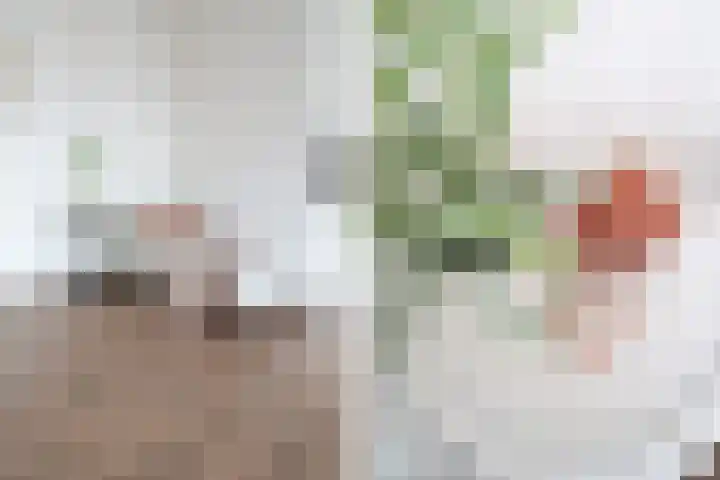 Nijverheidssingel 317 B6 Breda thumbnail 6