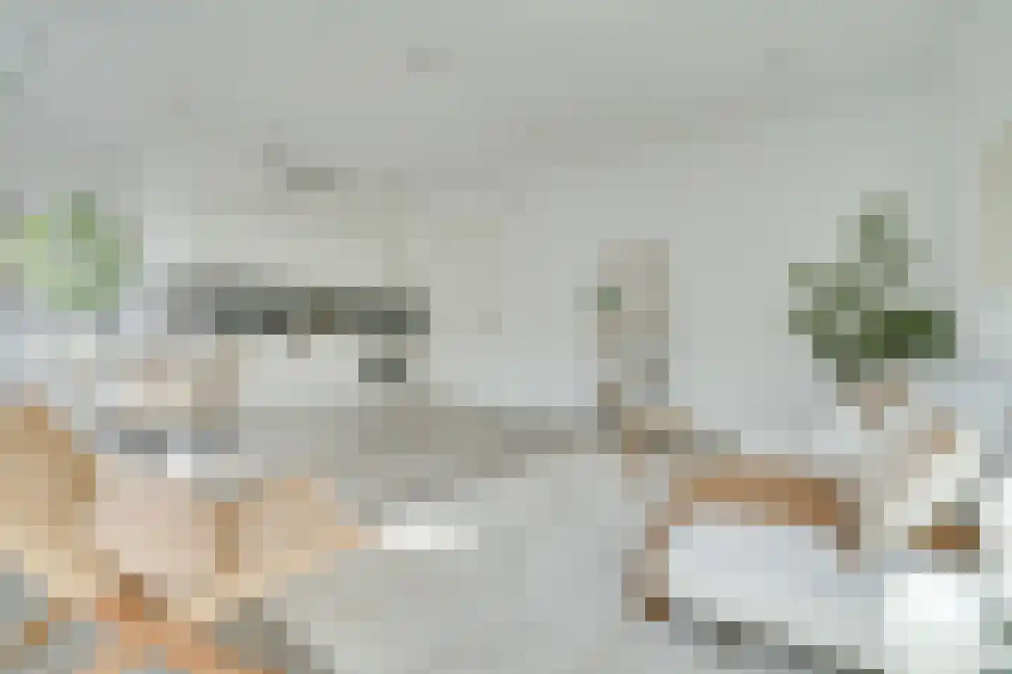 Nijverheidssingel 317 C2 Breda thumbnail 10