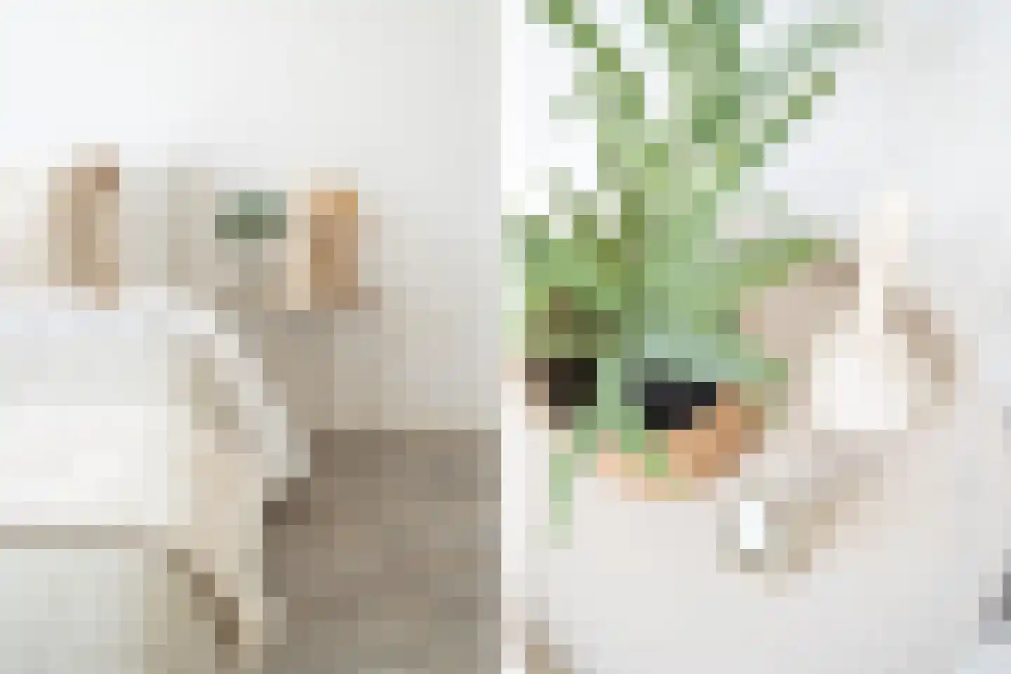 Nijverheidssingel 317 C2 Breda thumbnail 19