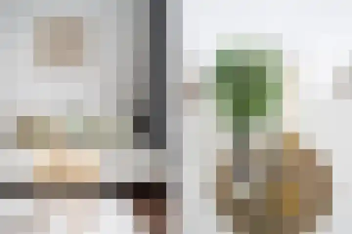 Nijverheidssingel 317 C4 Breda thumbnail 17