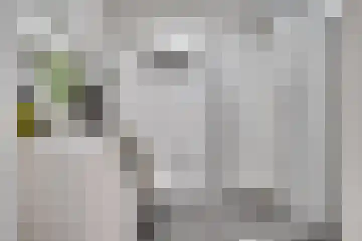 Nijverheidssingel 317 C4 Breda thumbnail 27