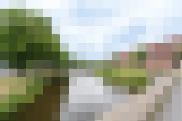 Nijverheidssingel 317 C4 Breda thumbnail 35
