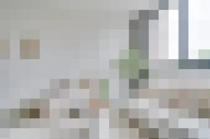 Nijverheidssingel 317 C5 Breda thumbnail 10