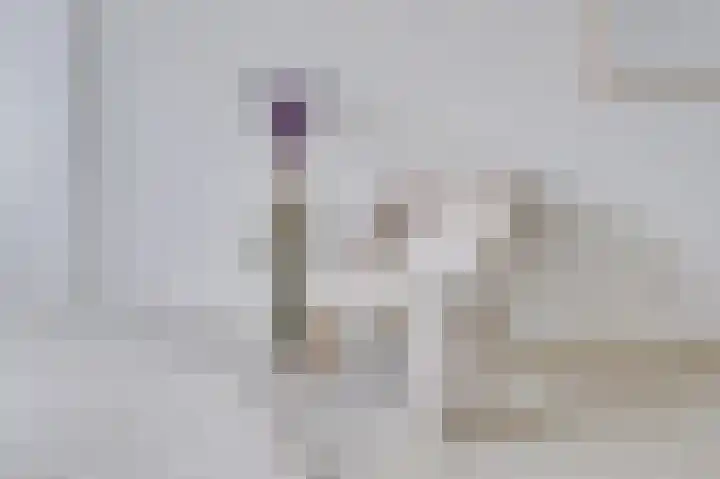 Nijverheidssingel 317 C5 Breda thumbnail 13