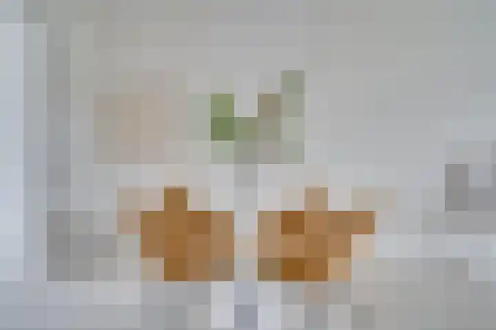 Nijverheidssingel 317 C5 Breda thumbnail 18
