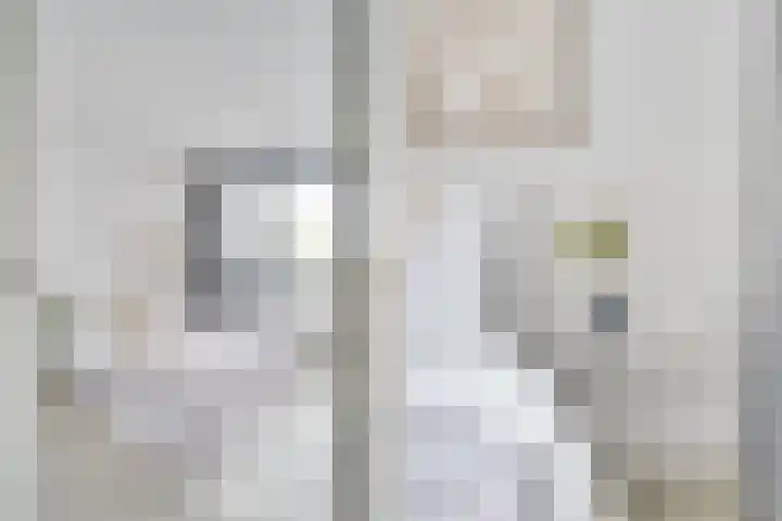 Nijverheidssingel 317 C5 Breda thumbnail 21