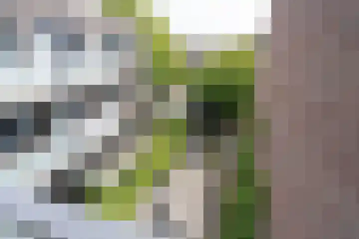 Nijverheidssingel 317 C5 Breda thumbnail 26