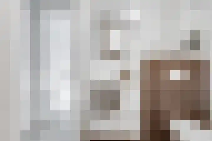 Nijverheidssingel 317 C5 Breda thumbnail 31